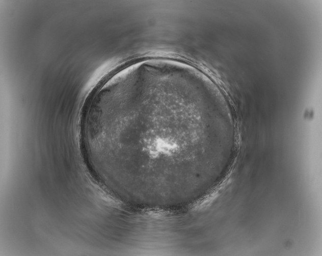 X0000090730199200708101647