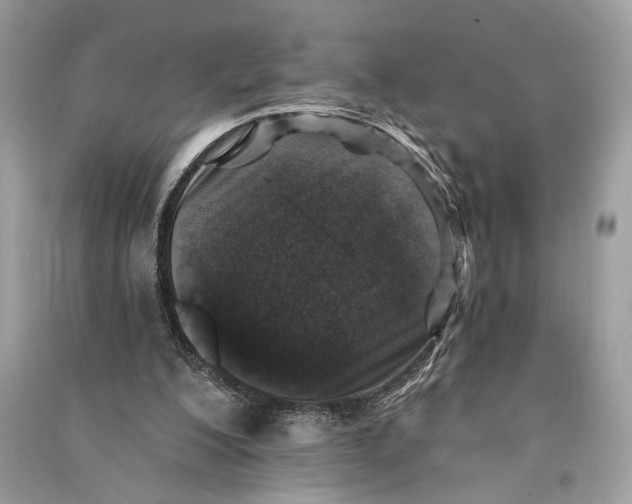 X0000090730200200708101647