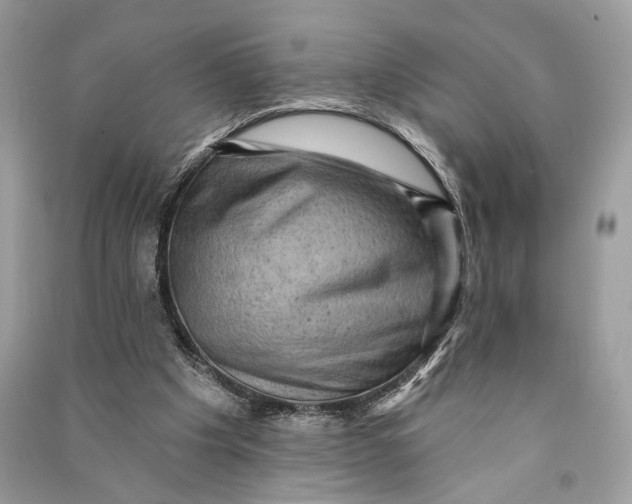 X0000090730201200708101647