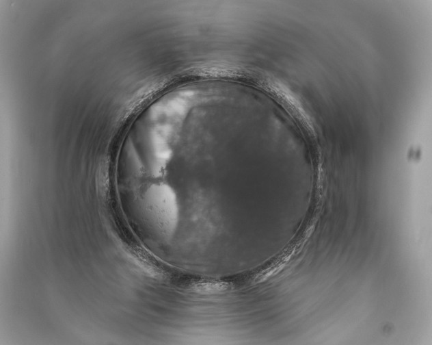 X0000090730202200708101647