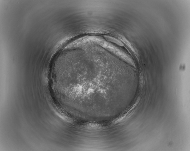 X0000090730203200708101647