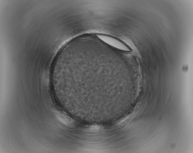 X0000090730204200708101647