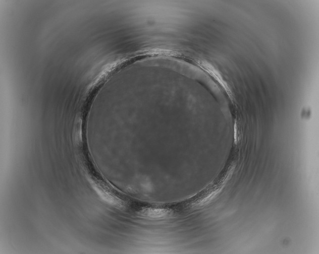 X0000090730205200708101647