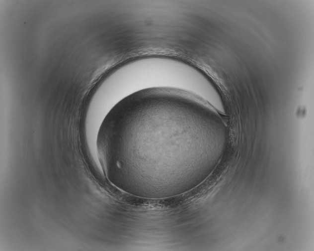 X0000090730207200708101647