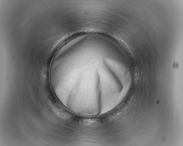 X0000090730208200708101647