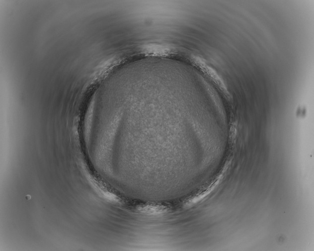 X0000090730209200708101647