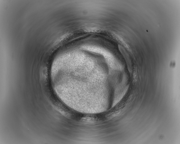 X0000090730211200708101647