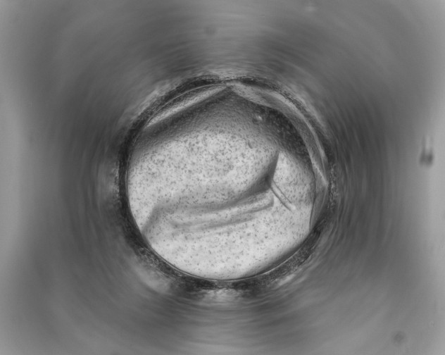 X0000090730212200708101647