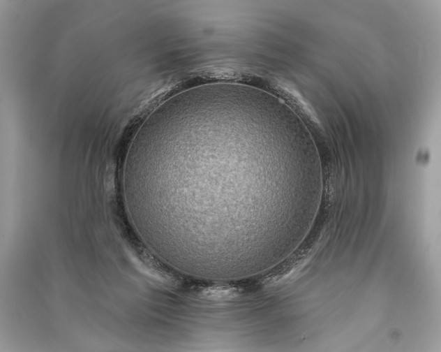 X0000090730213200708101647