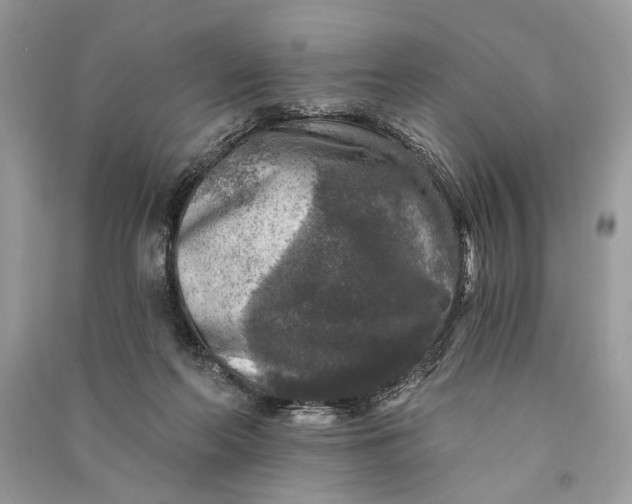 X0000090730214200708101647