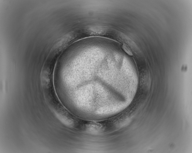 X0000090730215200708101647