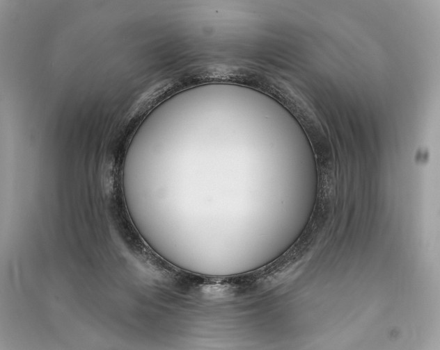 X0000090730216200708101647