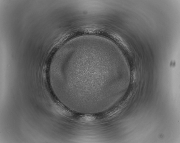 X0000090730217200708101647