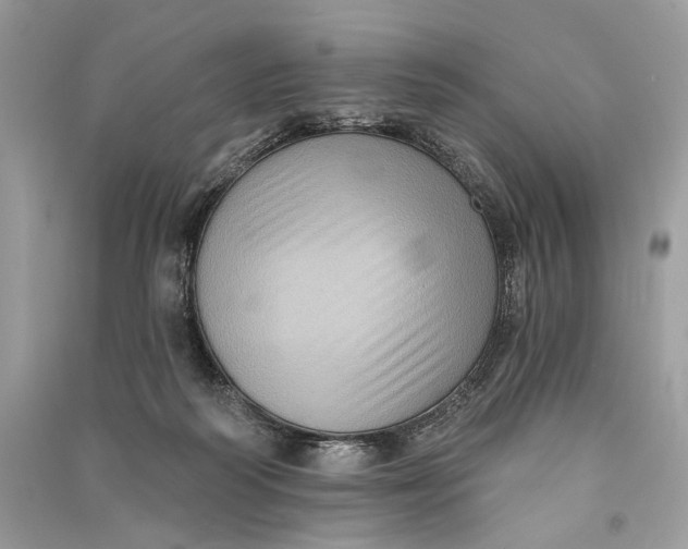 X0000090730218200708101647