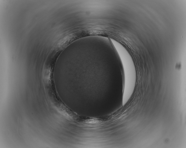 X0000090730219200708101647