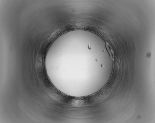 X0000090730220200708101647