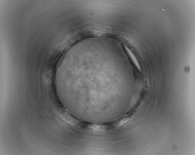 X0000090730221200708101647