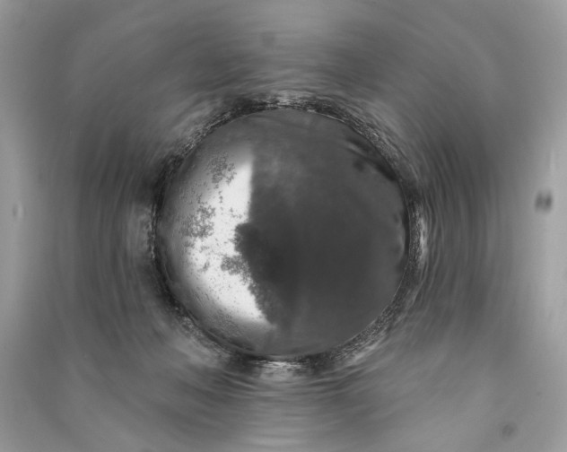 X0000090730222200708101647