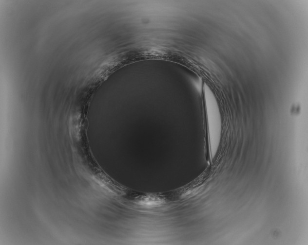 X0000090730223200708101647