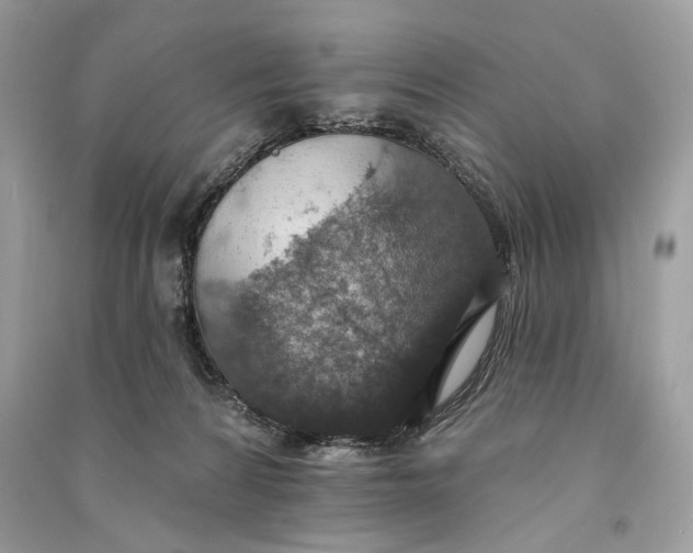 X0000090730224200708101647