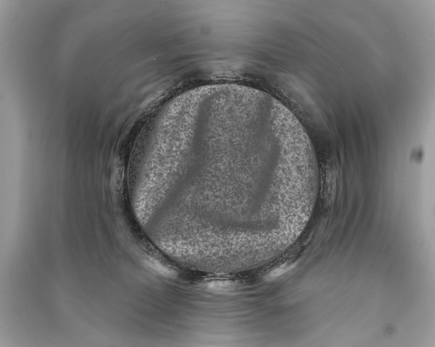 X0000090730228200708101647