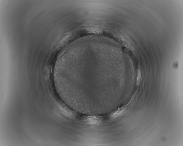 X0000090730229200708101647