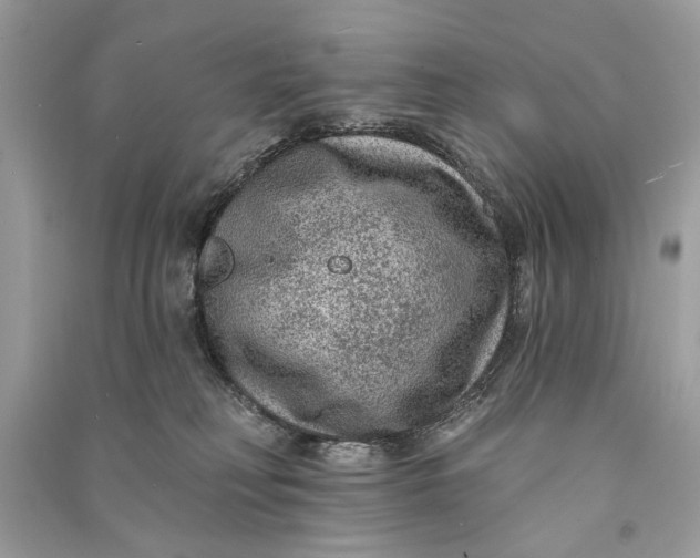 X0000090730230200708101647