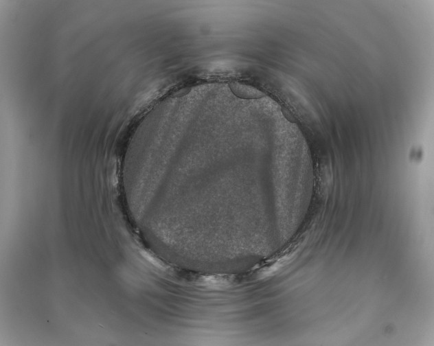 X0000090730232200708101647