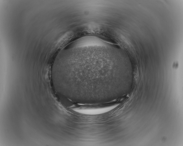 X0000090730233200708101647