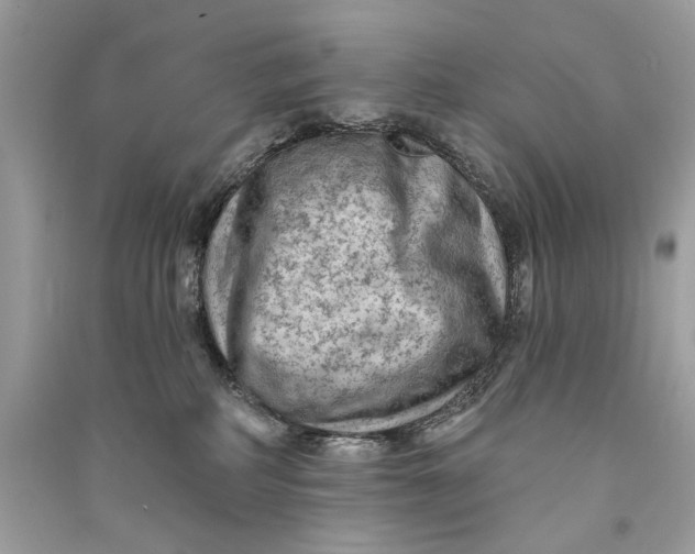 X0000090730234200708101647