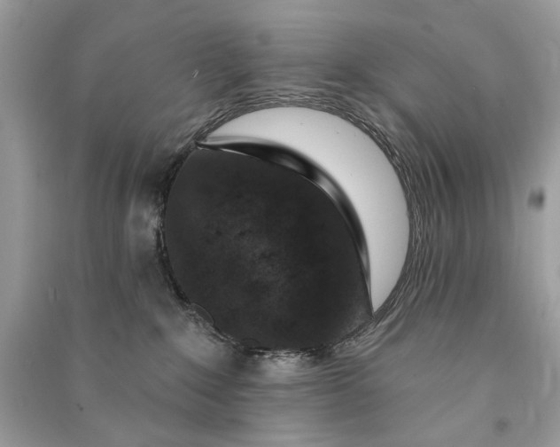 X0000090730235200708101647