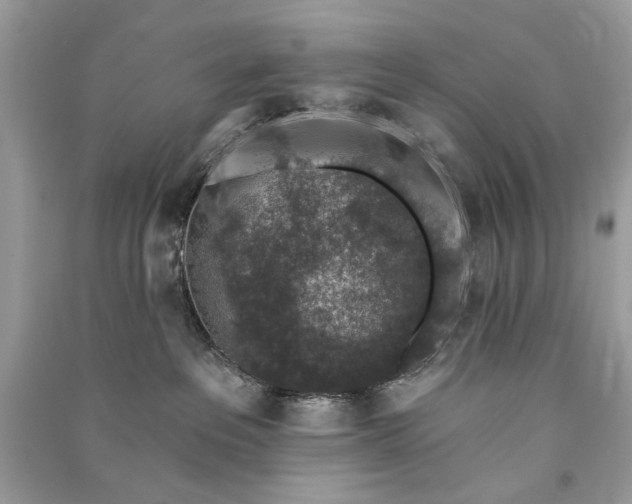 X0000090730237200708101647