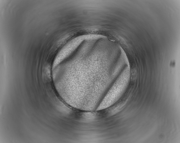 X0000090730238200708101647