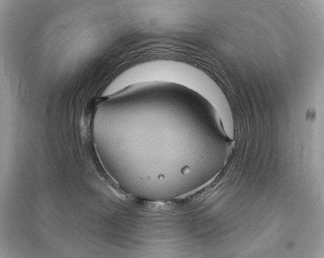 X0000090730239200708101647