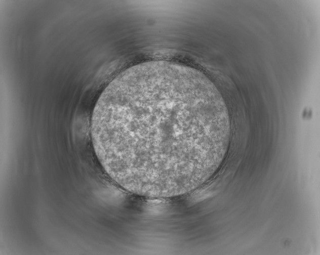 X0000090730240200708101647