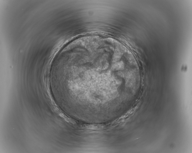 X0000090730241200708101646