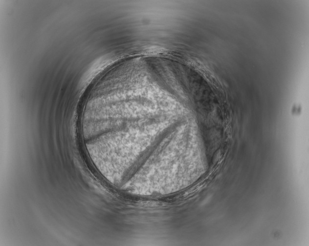 X0000090730242200708101646