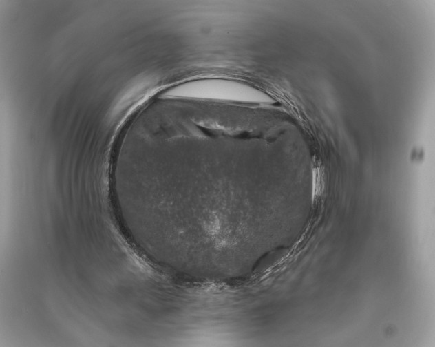 X0000090730243200708101646