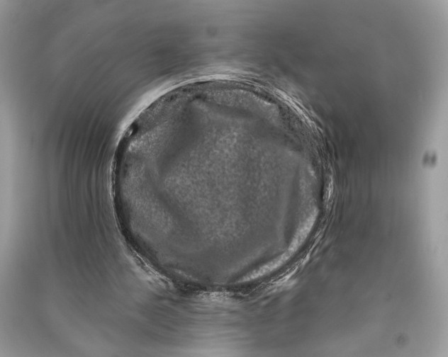 X0000090730244200708101646