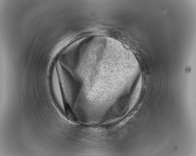 X0000090730245200708101646