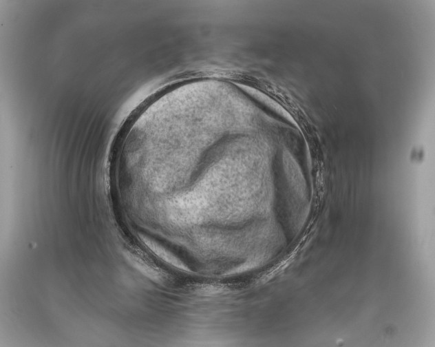 X0000090730246200708101646