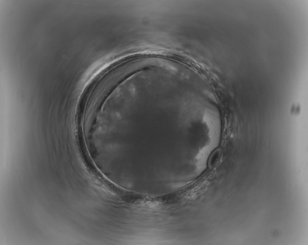 X0000090730247200708101646