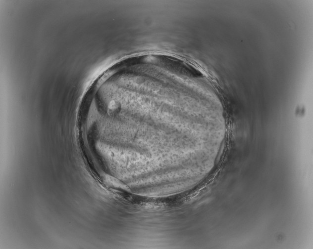 X0000090730248200708101646