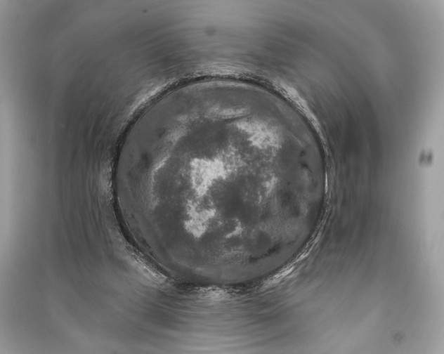 X0000090730249200708101646