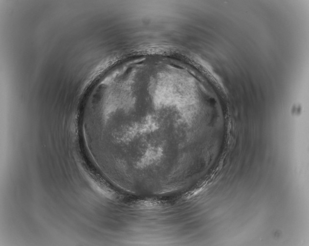 X0000090730250200708101646