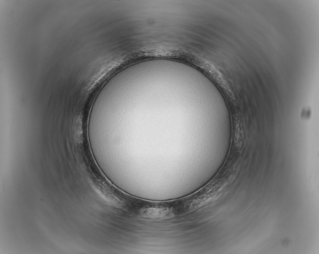 X0000090730251200708101646