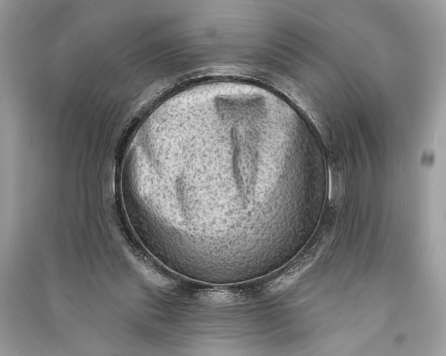 X0000090730253200708101646