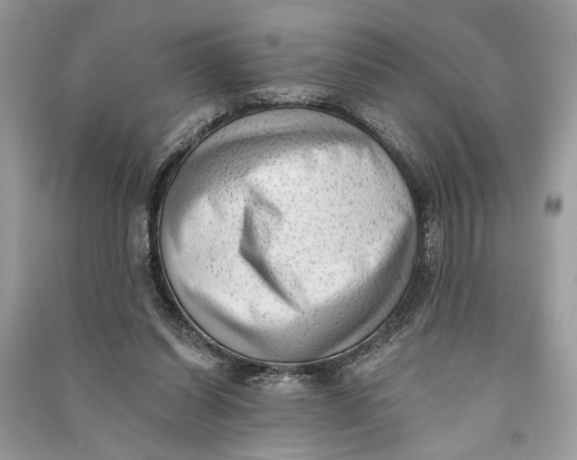 X0000090730254200708101646