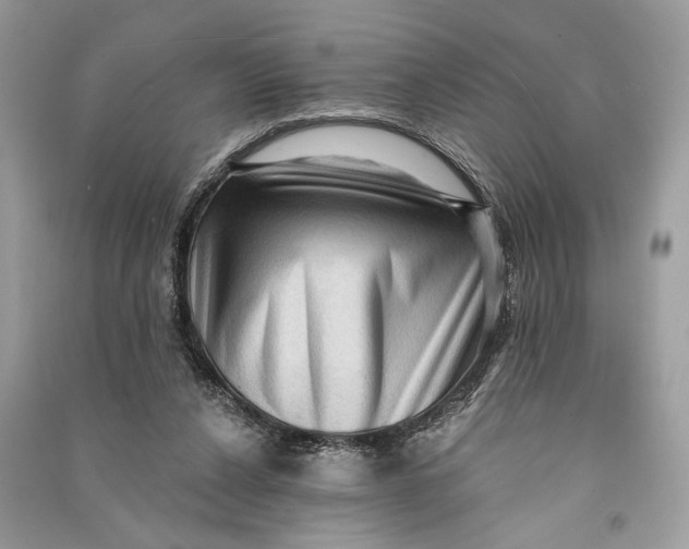 X0000090730256200708101646