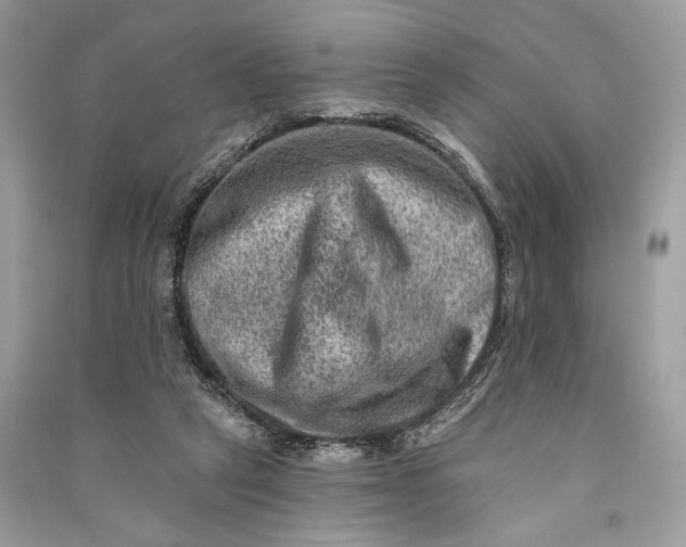 X0000090730257200708101646